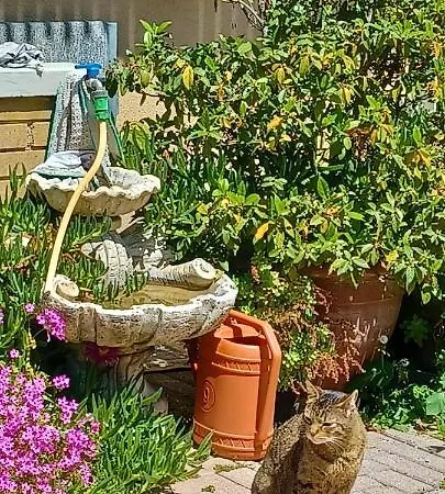 Apartamento Casa Bivi - With 1 And 2 Bedrooms - Click Here For Availabilities *